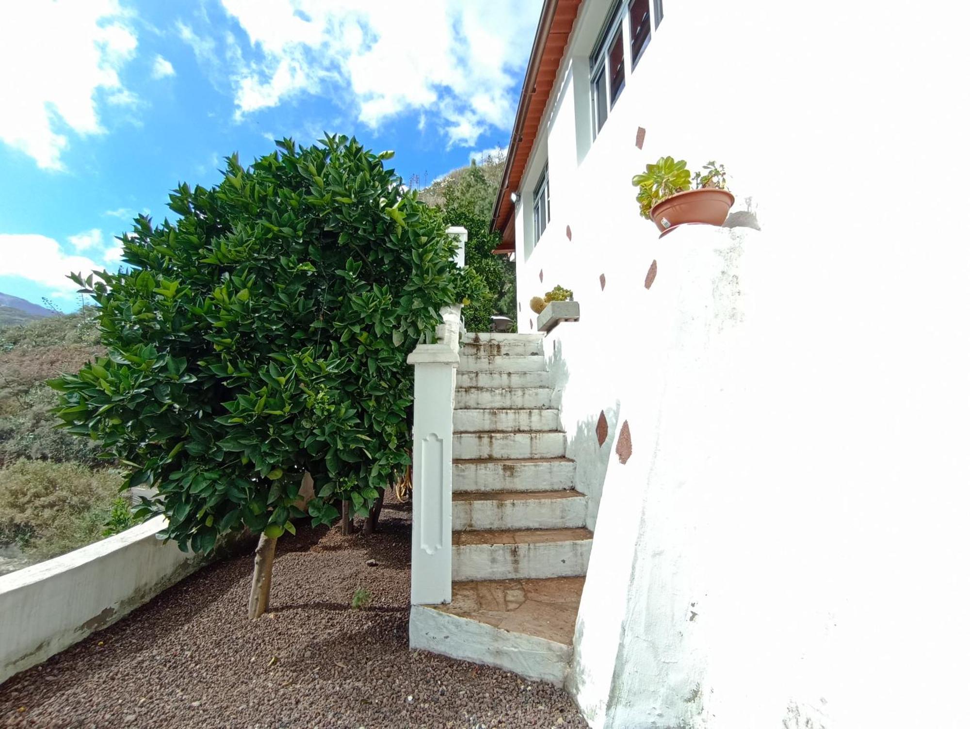 Casa Rural La Yedra San Mateo Arbejales Екстериор снимка