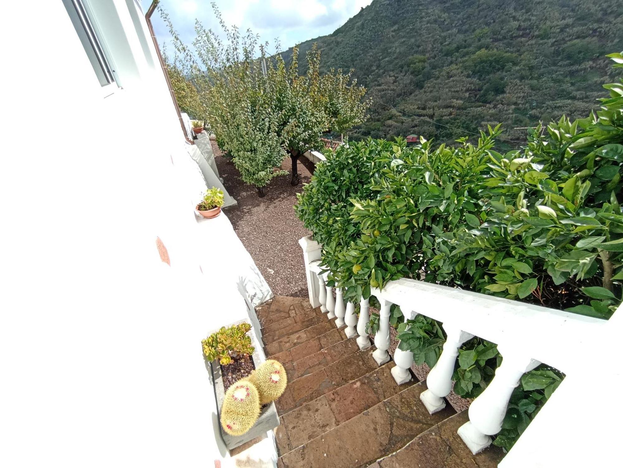 Casa Rural La Yedra San Mateo Arbejales Екстериор снимка